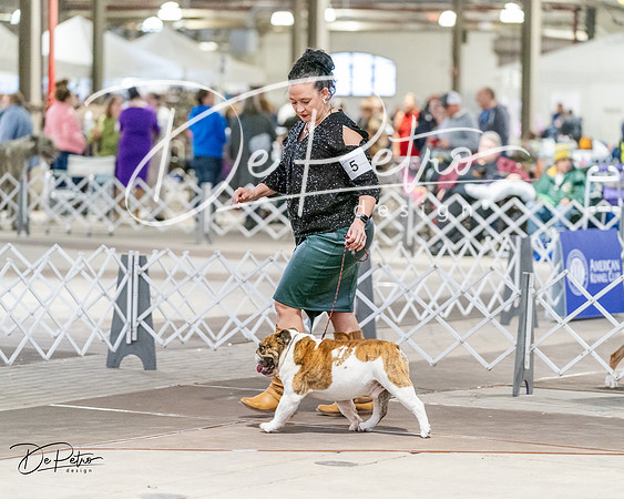 20240330-DSC05830