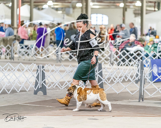 20240330-DSC05831