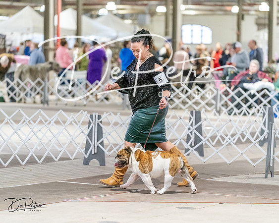 20240330-DSC05834