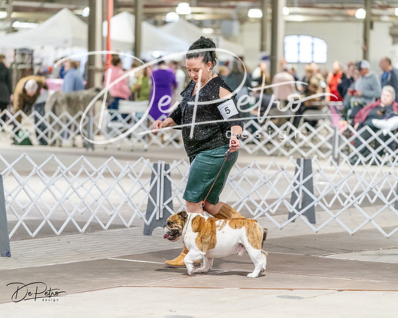 20240330-DSC05836