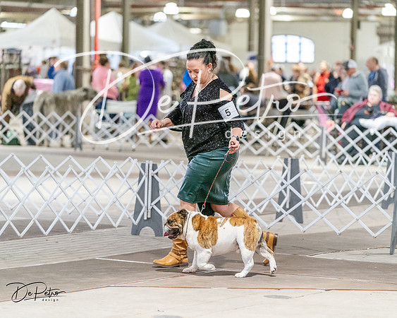 20240330-DSC05835