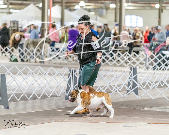 20240330-DSC05837