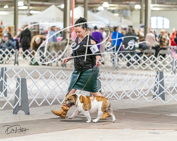 20240330-DSC05842