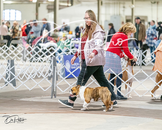 20240330-DSC05843