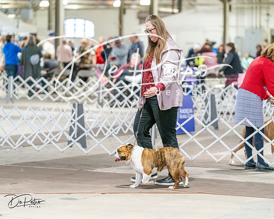 20240330-DSC05850