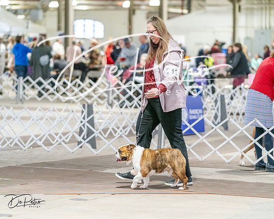 20240330-DSC05851