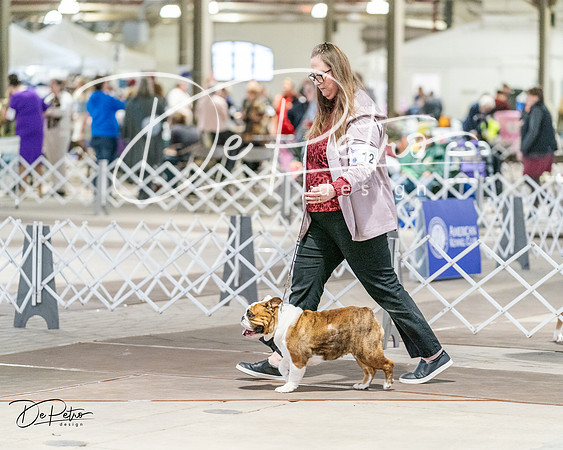20240330-DSC05854