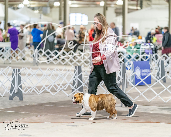 20240330-DSC05855