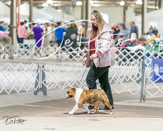 20240330-DSC05860
