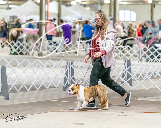 20240330-DSC05865