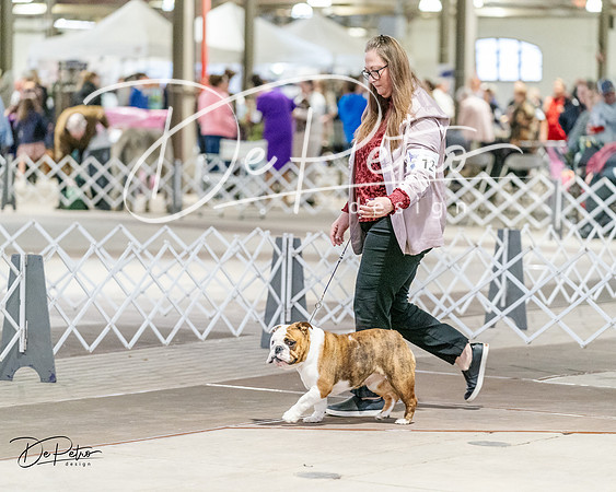 20240330-DSC05866