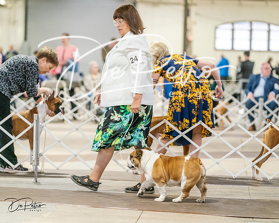 20240330-DSC05882
