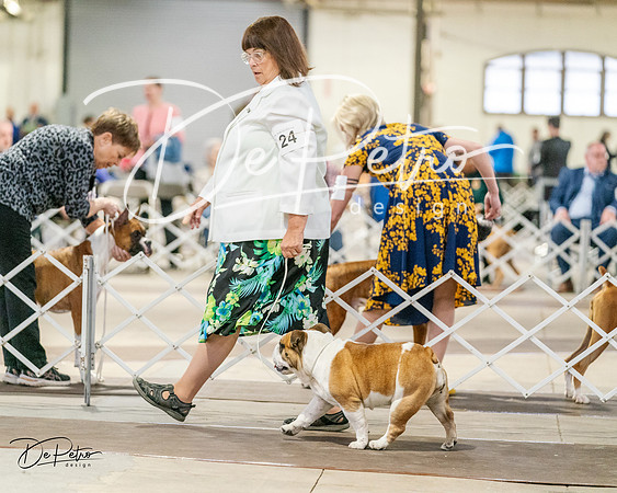 20240330-DSC05883