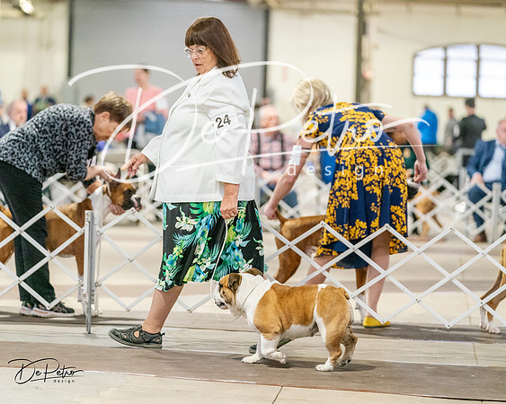 20240330-DSC05885