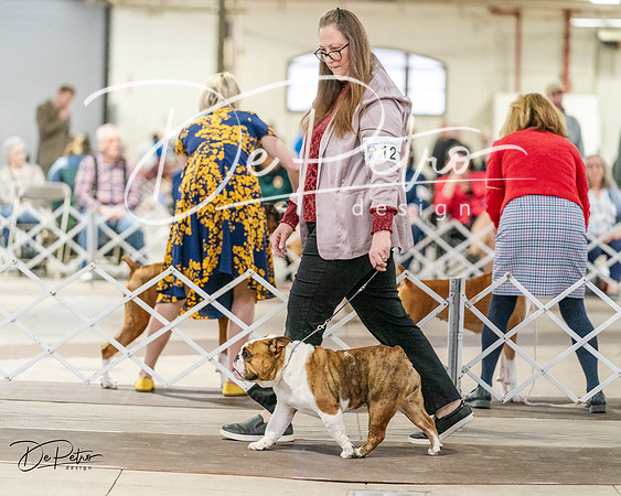 20240330-DSC05891