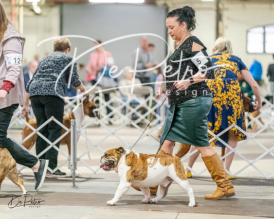 20240330-DSC05907