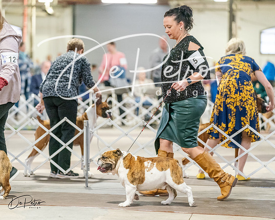 20240330-DSC05909