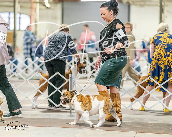 20240330-DSC05913