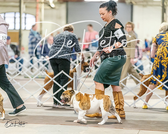 20240330-DSC05914