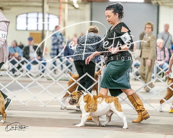 20240330-DSC05918