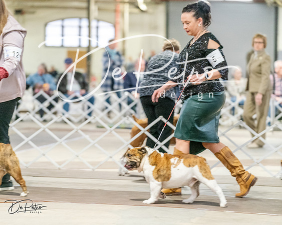 20240330-DSC05919