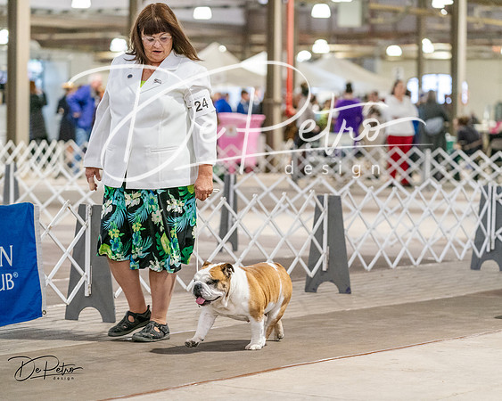 20240330-DSC05922