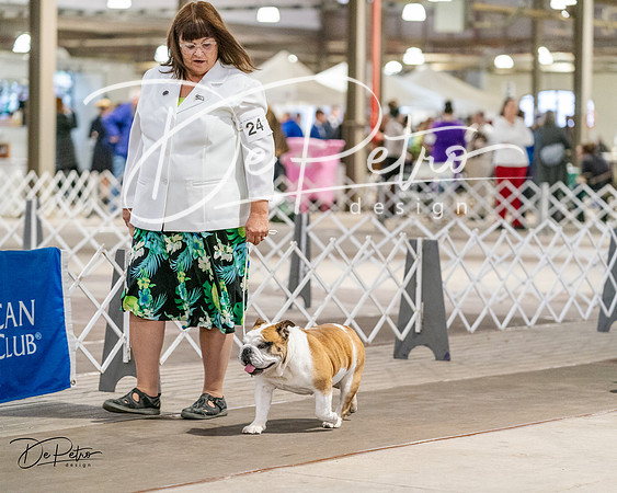 20240330-DSC05923