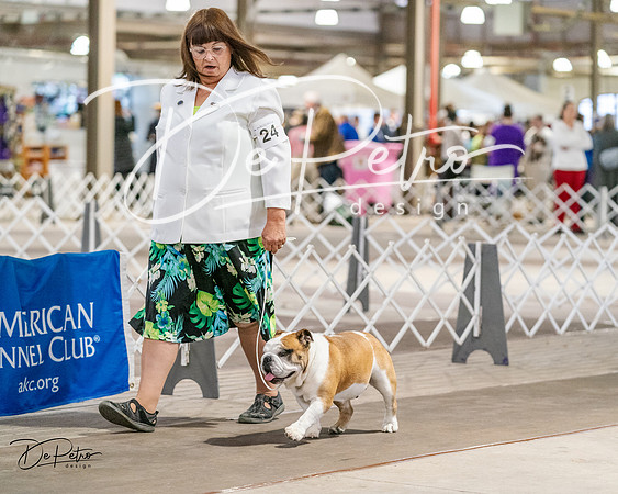 20240330-DSC05926