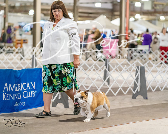 20240330-DSC05928