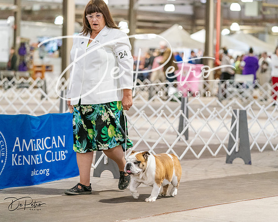 20240330-DSC05929