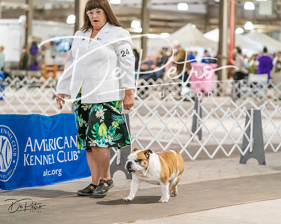 20240330-DSC05931