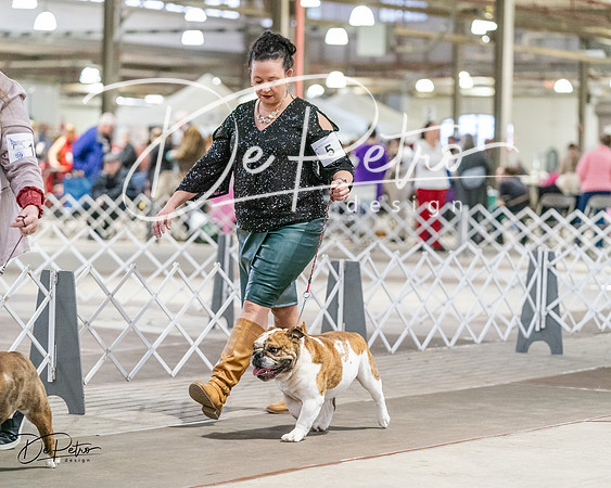 20240330-DSC05952