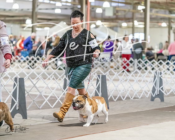 20240330-DSC05953