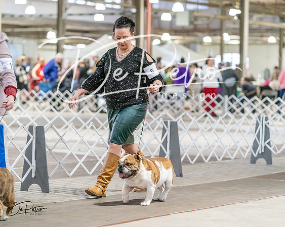20240330-DSC05954