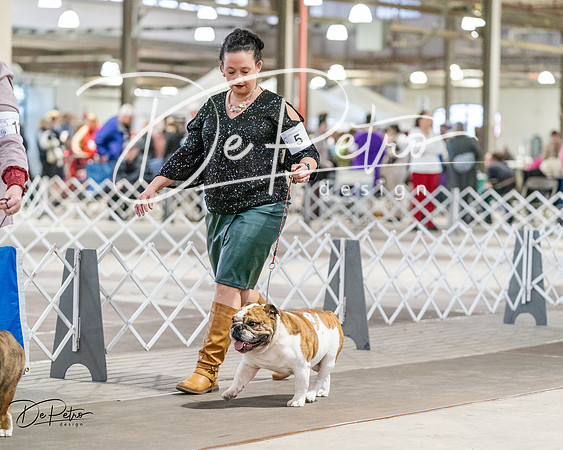 20240330-DSC05955