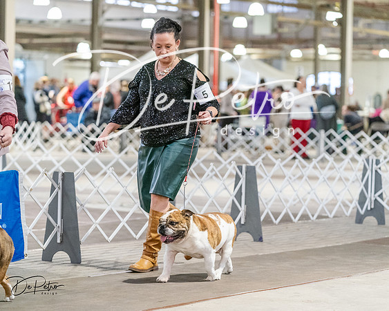 20240330-DSC05956