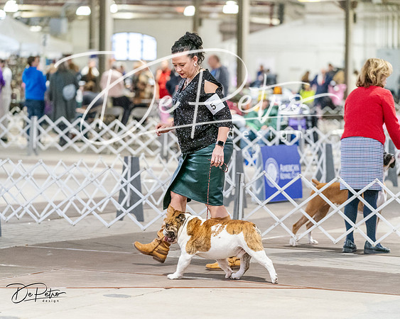 20240330-DSC05822