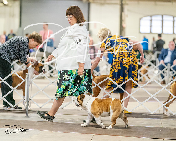 20240330-DSC05884