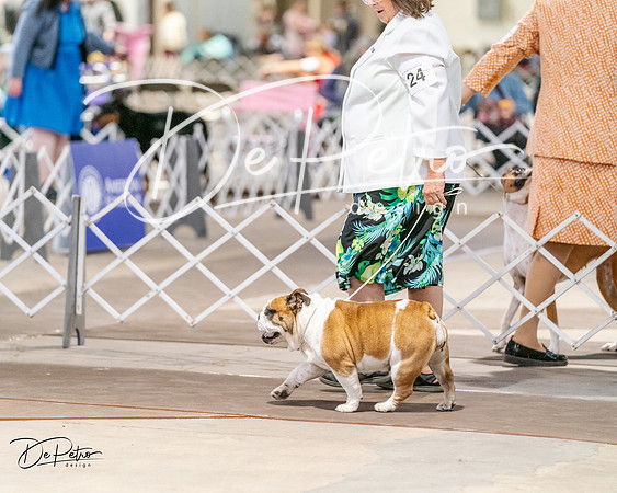 20240330-DSC05807