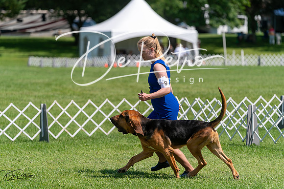 20240630-DSC01984