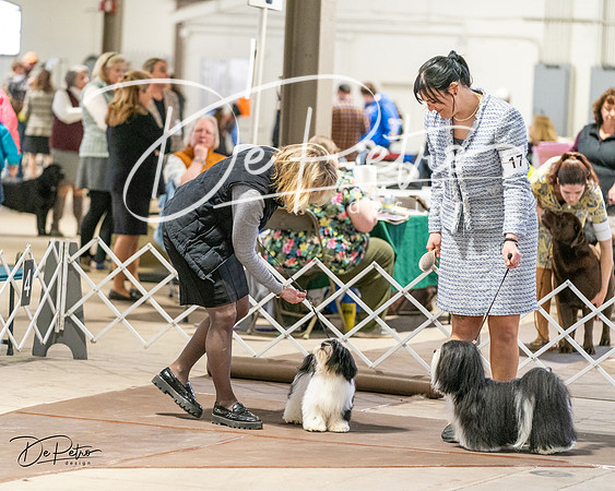 20240330-DSC06774