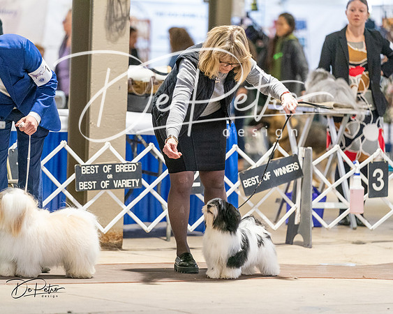 20240330-DSC06776