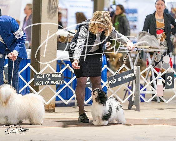 20240330-DSC06778