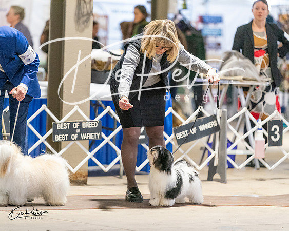 20240330-DSC06785