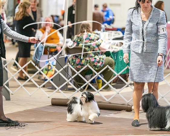 20240330-DSC06768