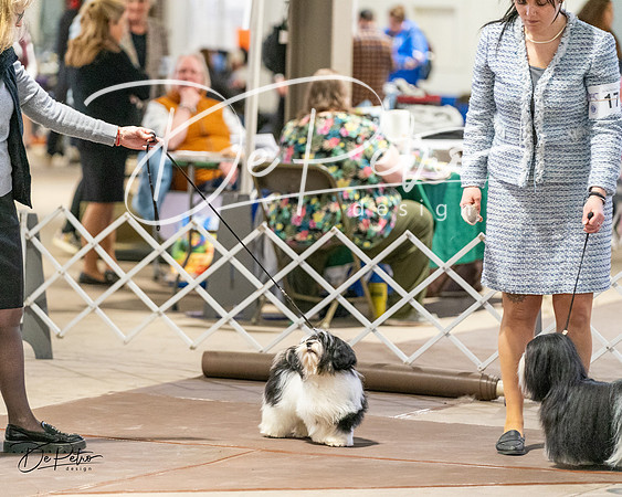 20240330-DSC06770