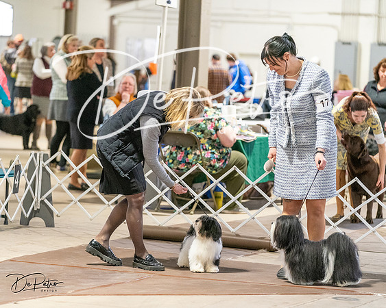 20240330-DSC06772
