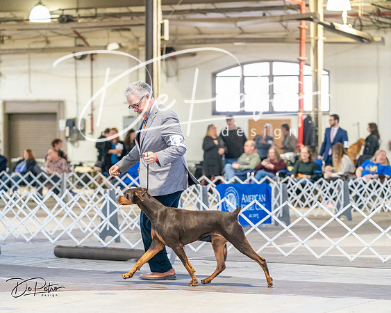 20240330-DSC07402