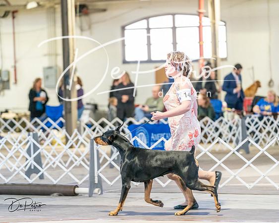 20240330-DSC07448