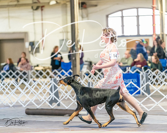 20240330-DSC07451
